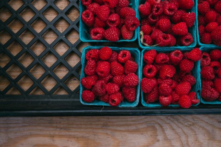 Workaway – Trabajar en distintos países a cambio de comida y alojamiento