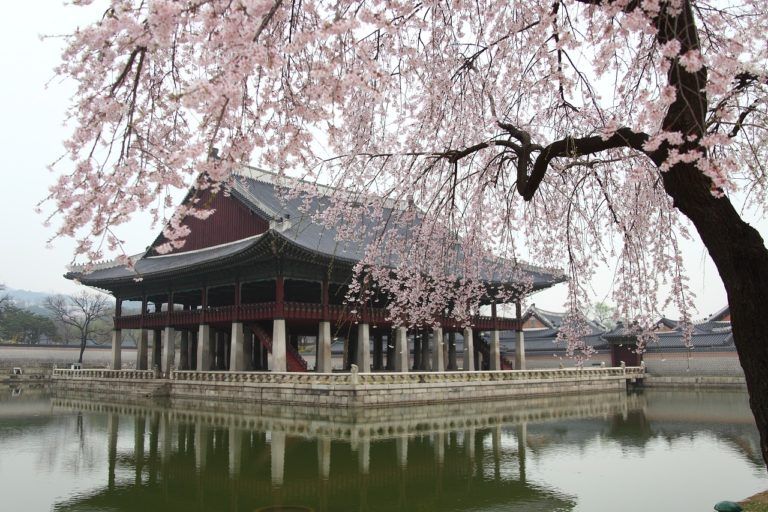 Working Holiday Corea del Sur – para chilenos