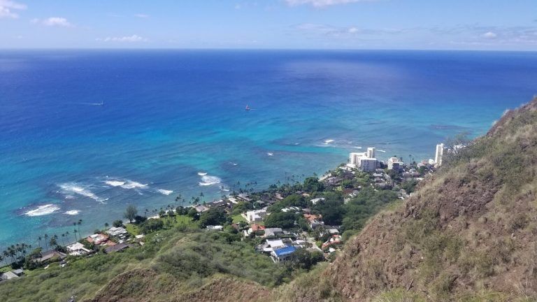 work and travel hawaii
