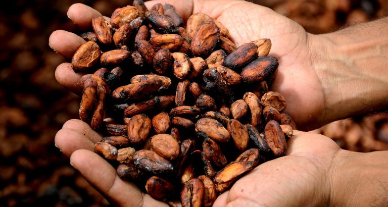ceremonia de cacao