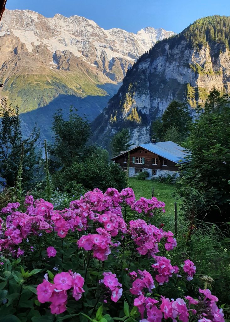 Gimmewald y flores, de lo mejor que ver en Lauterbrunnen en verano