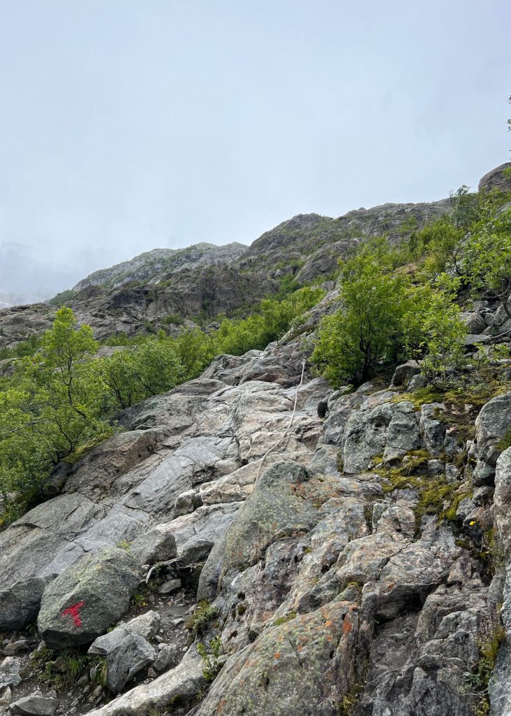El trek al glaciar y sus dificultades