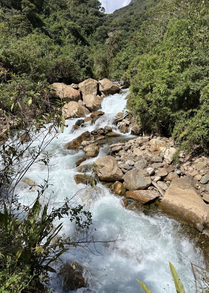 bajando hacia el bosque nuboso durante el camino salkantay