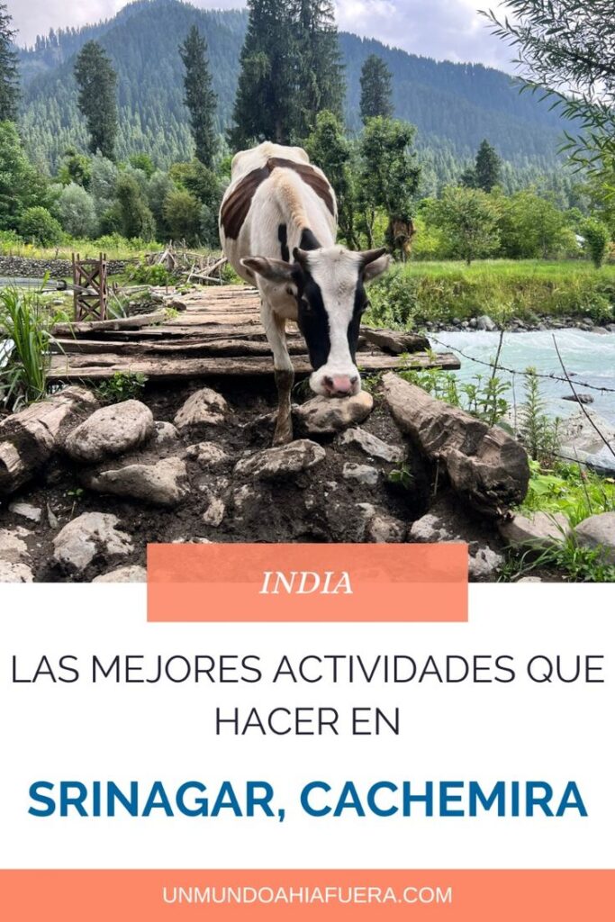 pin sobre que hacer en srinagar, cachemira