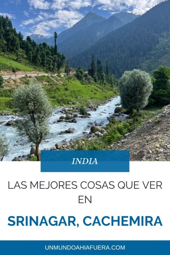 pin sobre que hacer en srinagar, cachemira