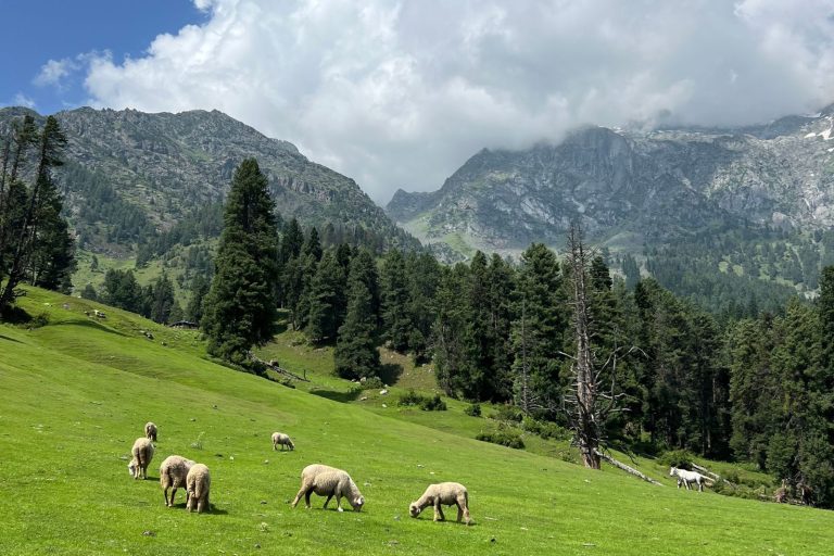 Mi experiencia viajando sola por Cachemira, India