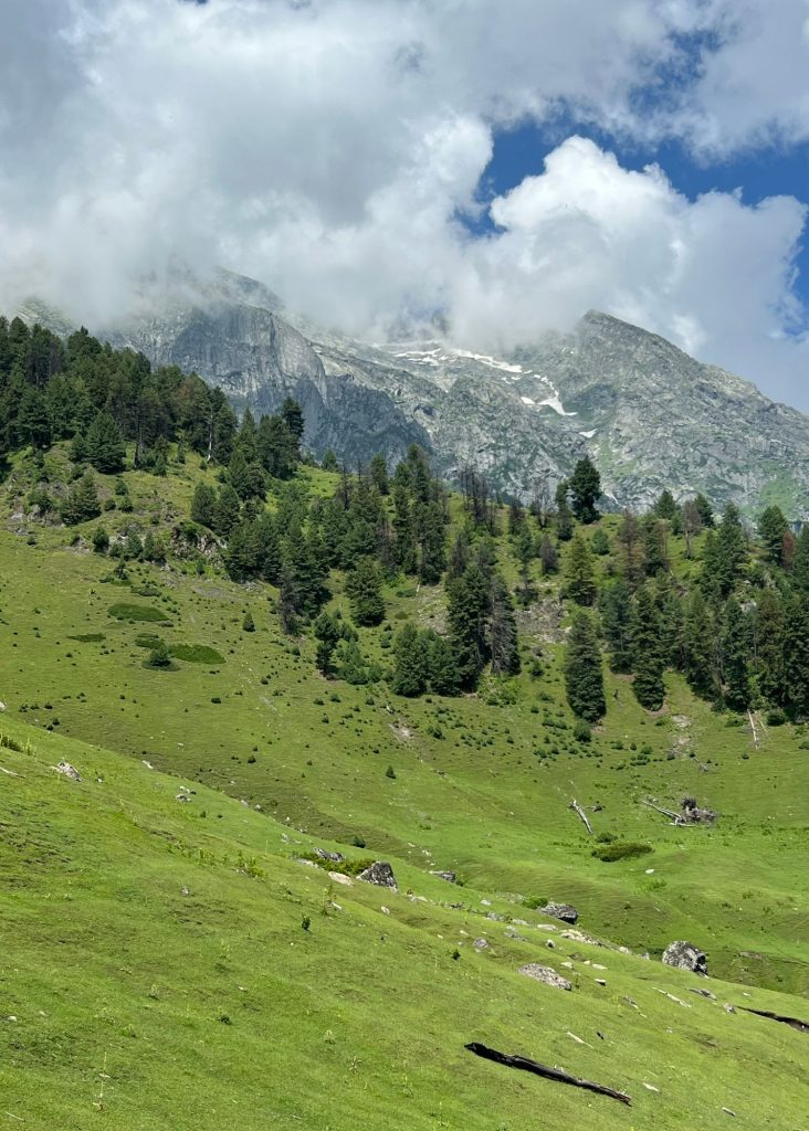 el valle de aru desde green top