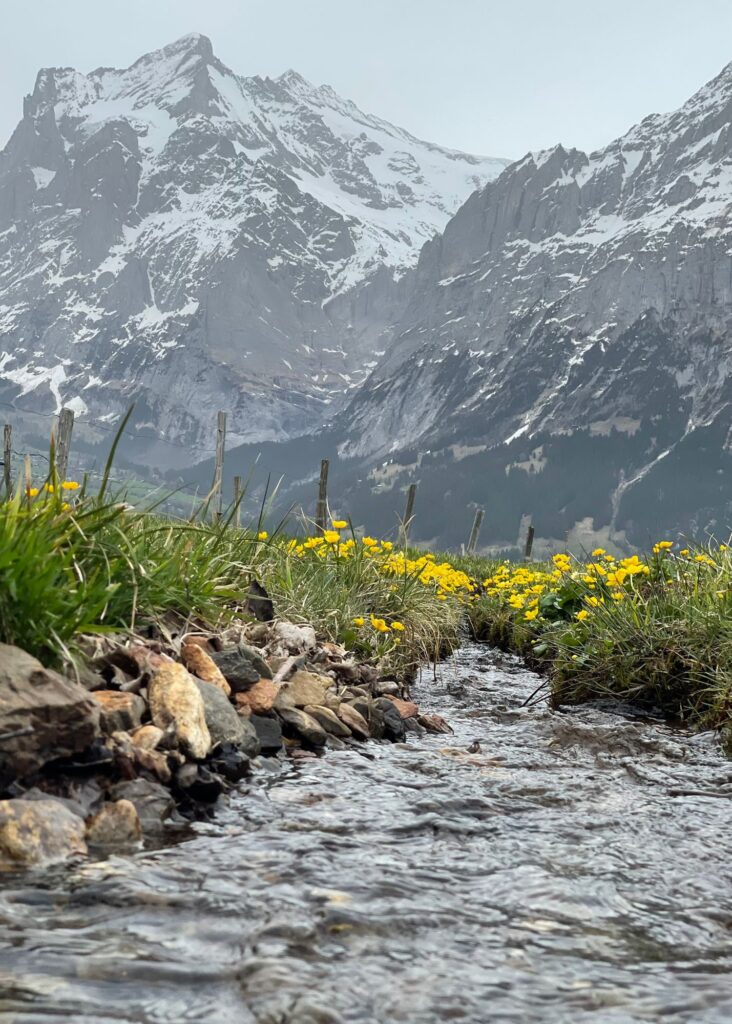 Paisajes de Grindelwald Suiza