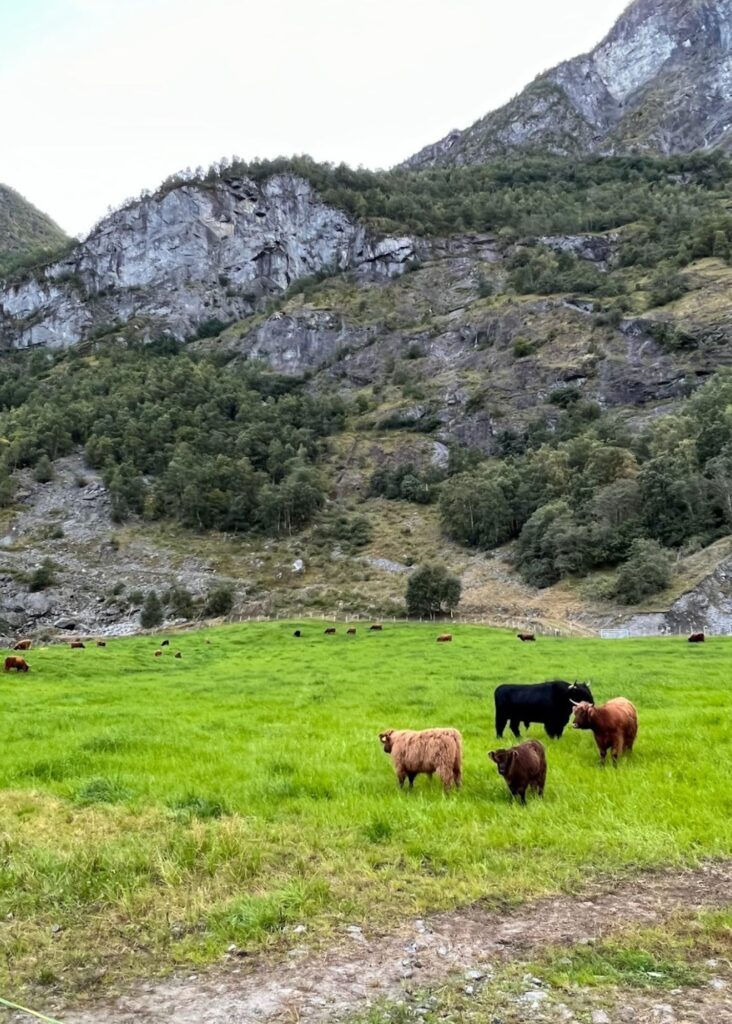el pueblito de Flam