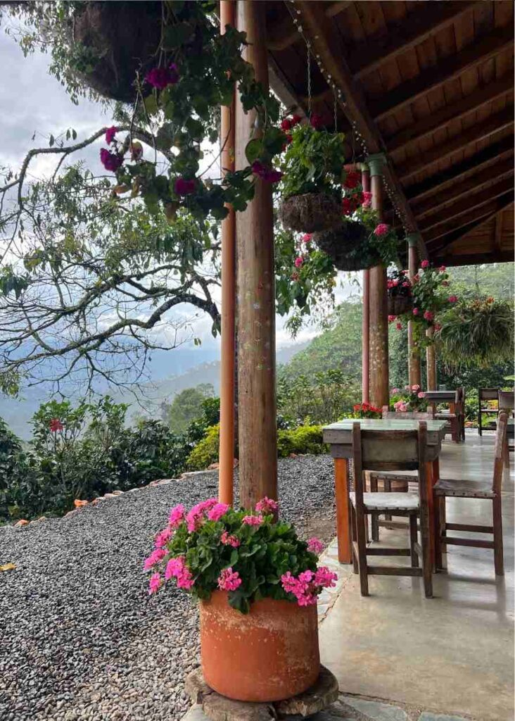 las vistas de jardín desde café jardín