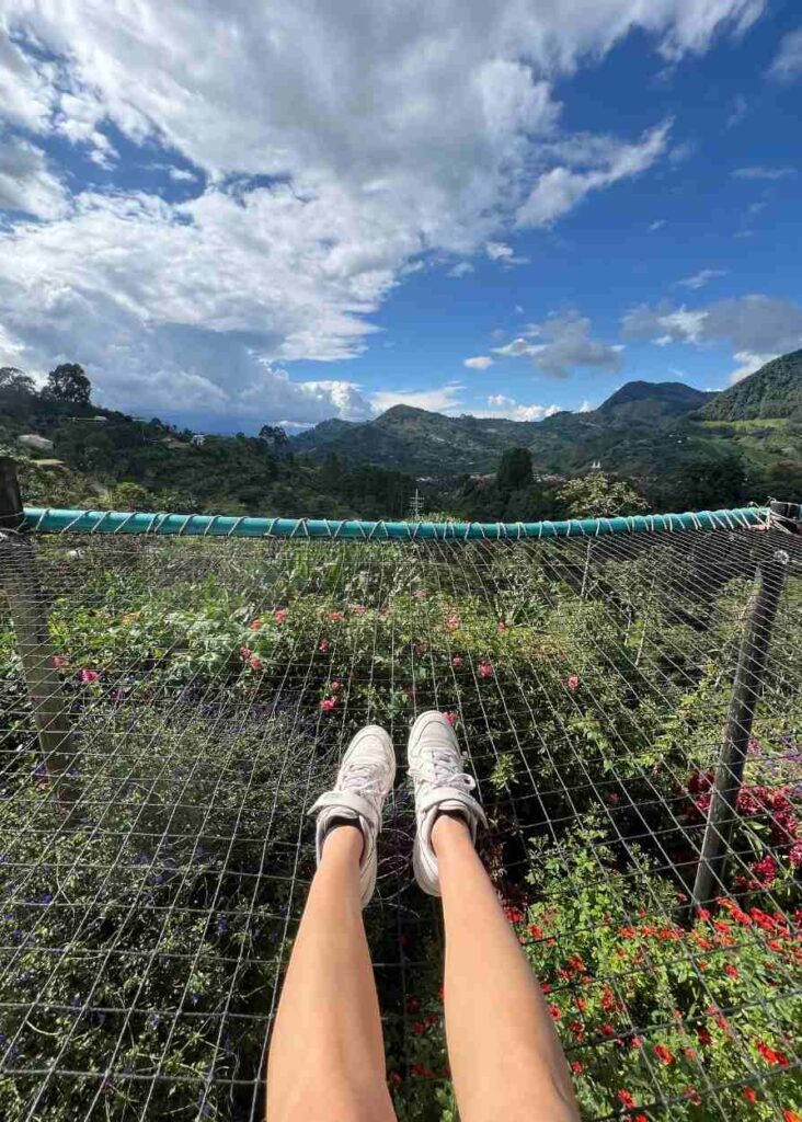 las mejores vistas de jardin desde el mirador la herrerita 
