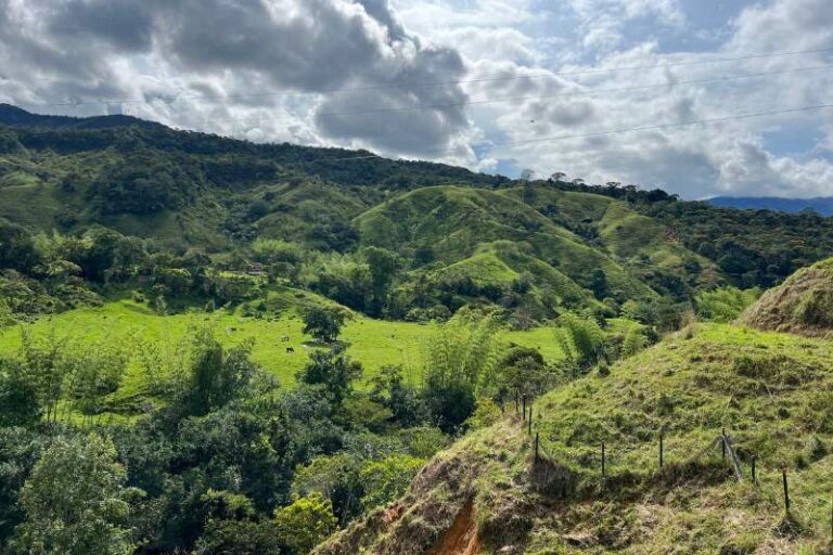 7 Actividades imperdibles que hacer en San Rafael Antioquia