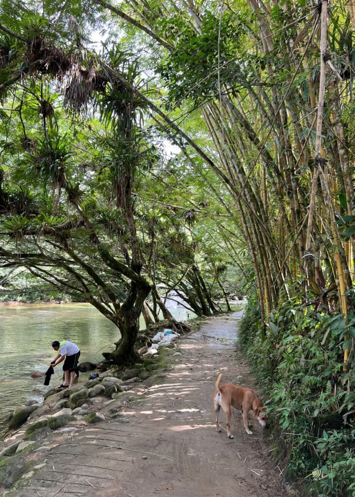 el sendero que bordea al rio cerca de san rafael antioquia