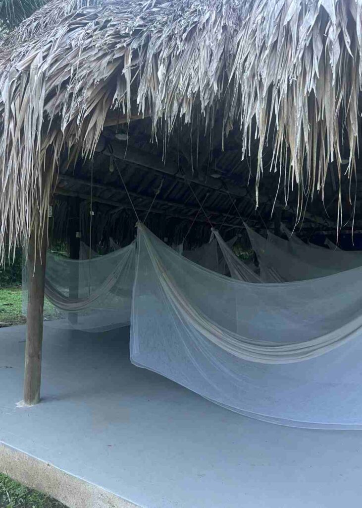 las hamacas del camping donde acampé en el tayrona