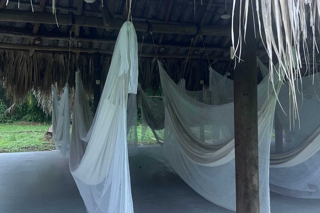 las hamacas del camping del parque tayrona