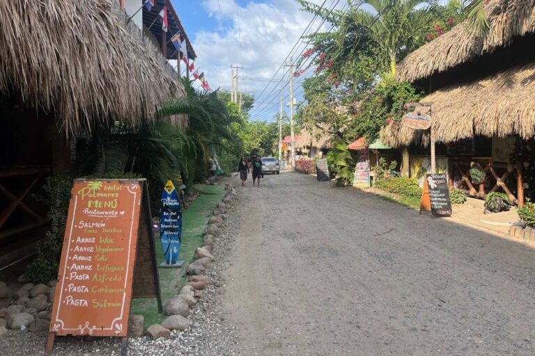 Cómo llegar a Palomino, Colombia