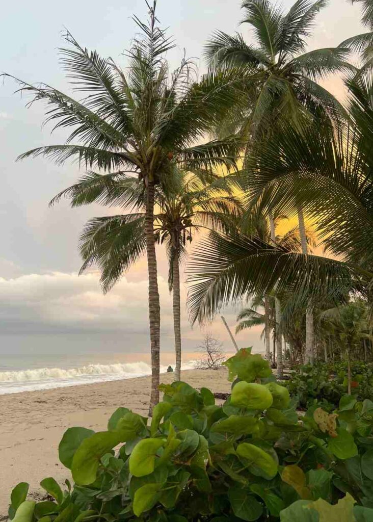 la playa al atardecer, una cosa imperdible que hacer en palomino