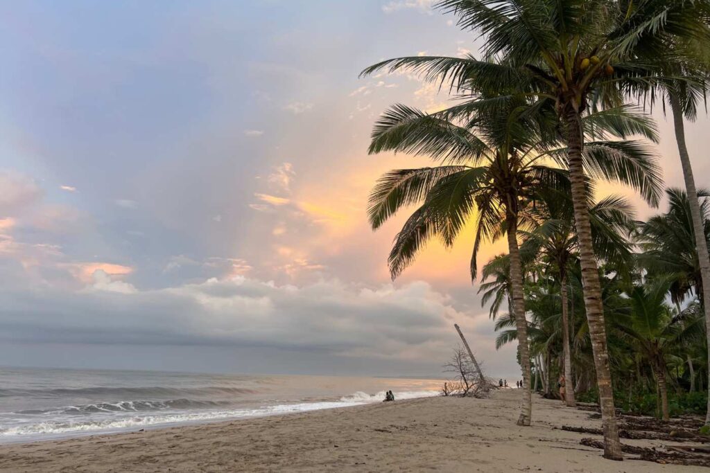 el atardecer en la playa de palomino