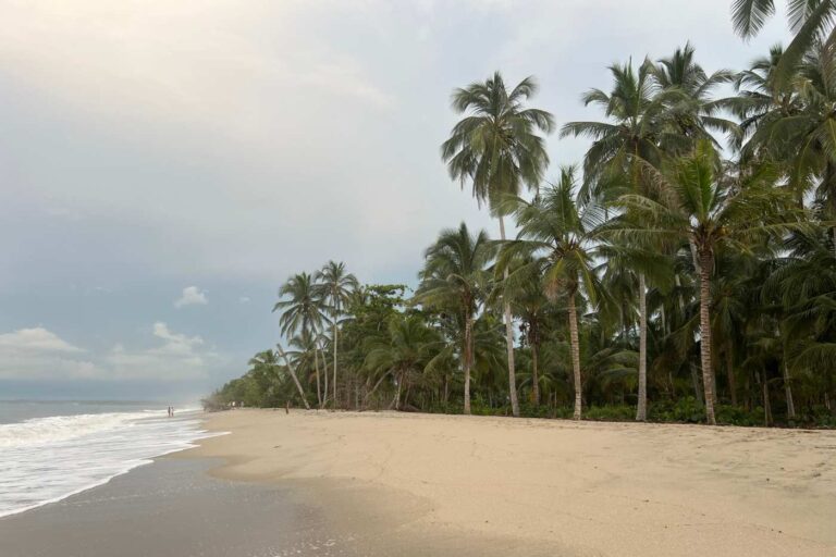 10 Actividades imperdibles que hacer en Palomino, Colombia