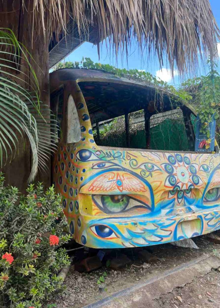 el bus es una de las mejores formas de como llegar a Palomino desde Santa Marta