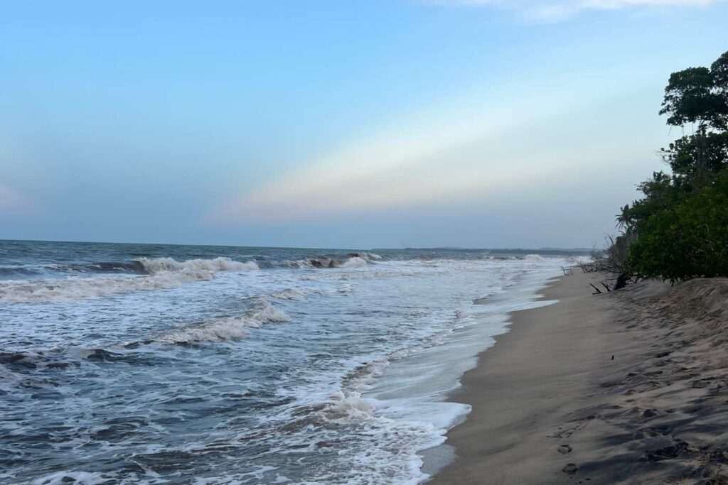 el mar de palomino