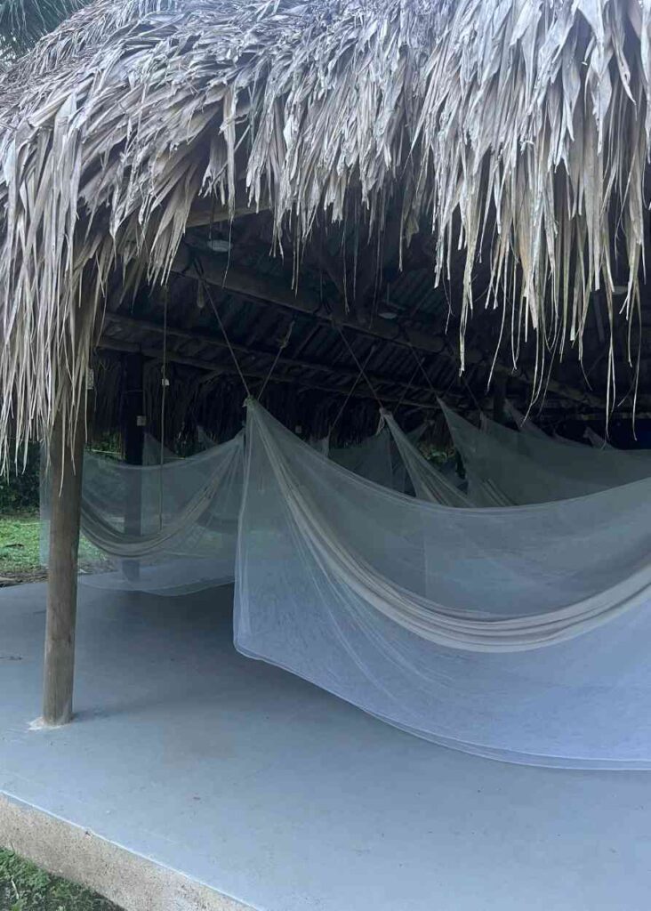 hamacas para dormir en el parque tayrona