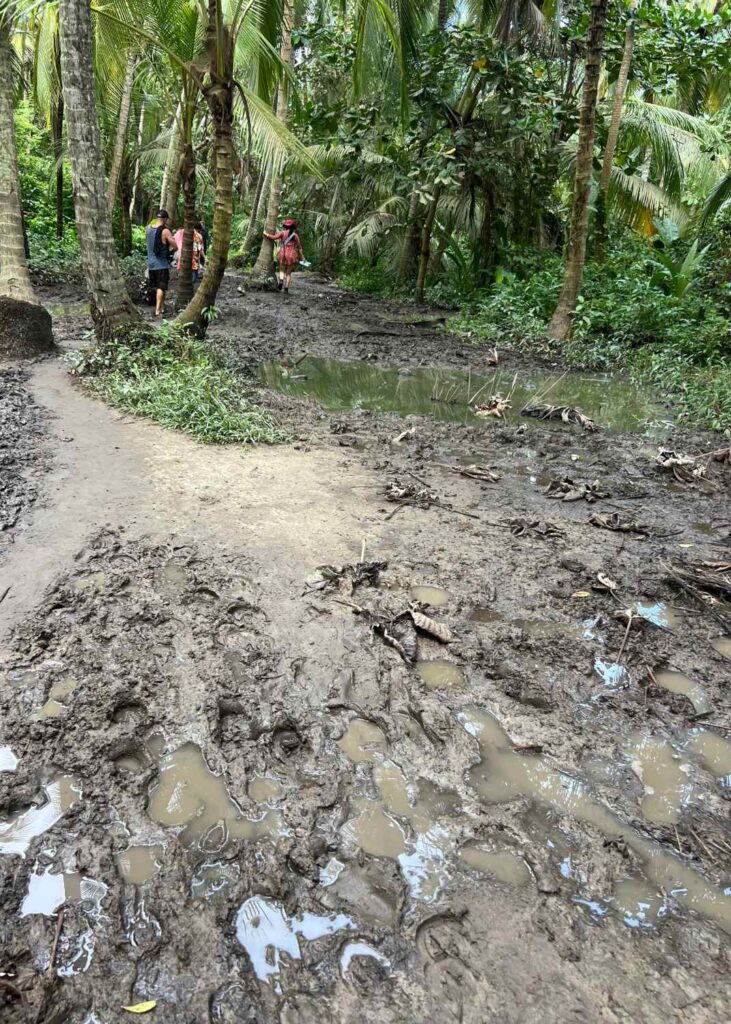 el barro del sendero del parque tayrona