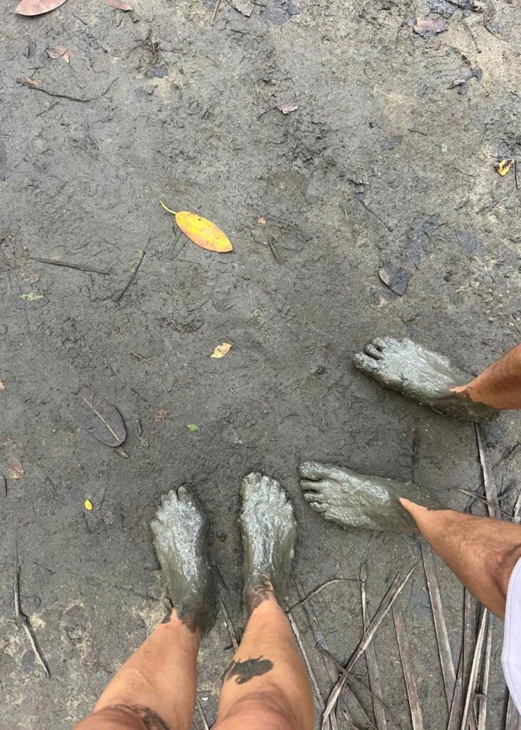 el barro en el parque tayrona, caminar es una de las formas de como llegar al parque tayrona