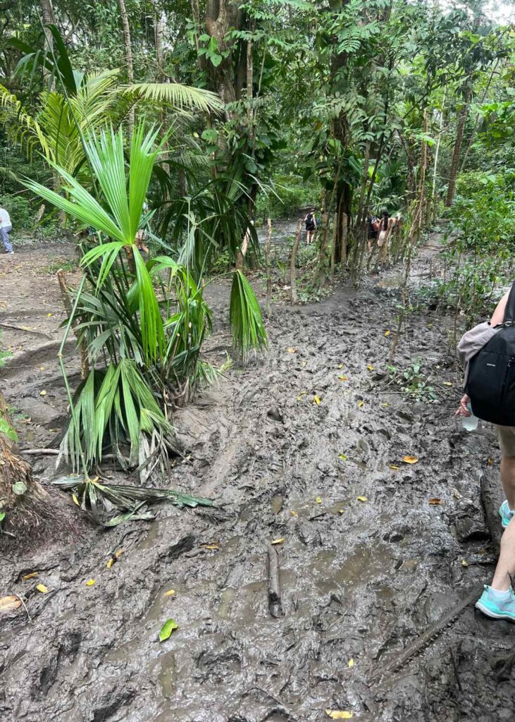 el barro en el sendero del tayrona, para ilustrar el post de si vale la pena ir al tayrona