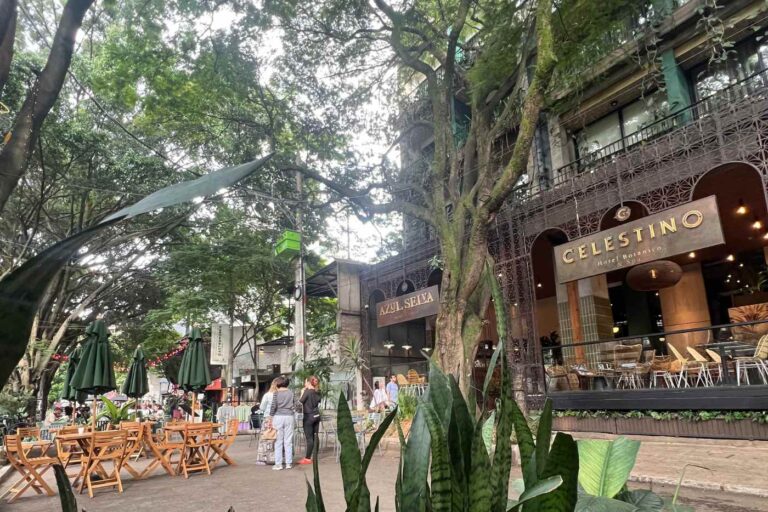 Donde Alojarse en Medellin: Mejores Zonas y Hoteles