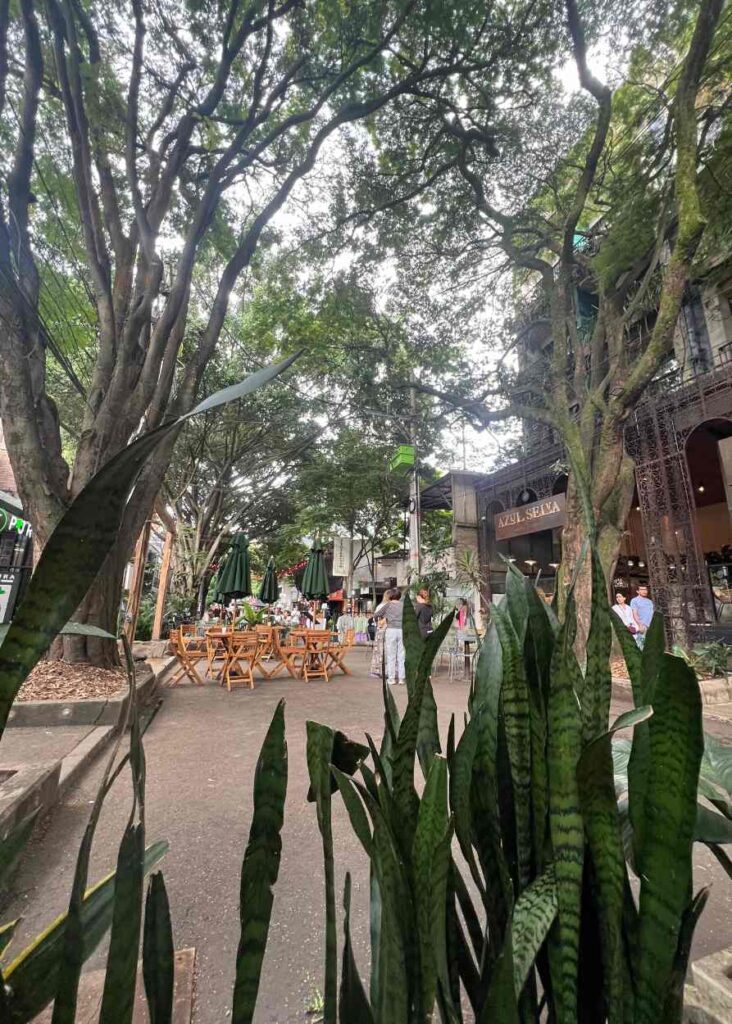 El Poblado, el barrio más exclusivo para dormir en Medellín