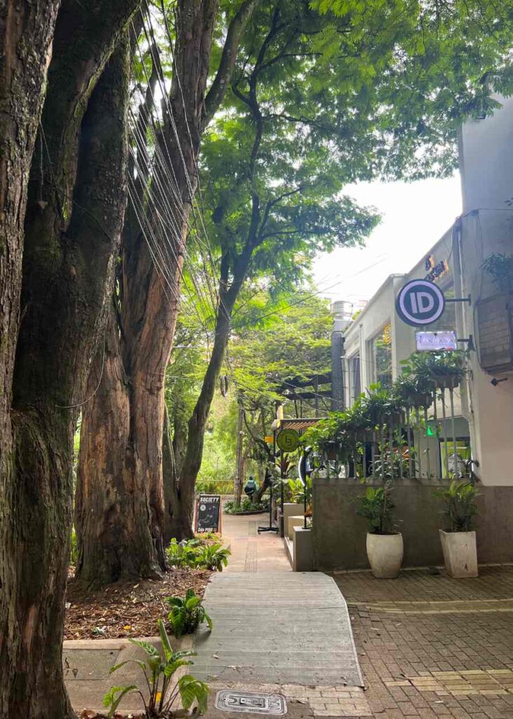 foto de el poblado, una de las mejores zonas donde alojarse en medellin