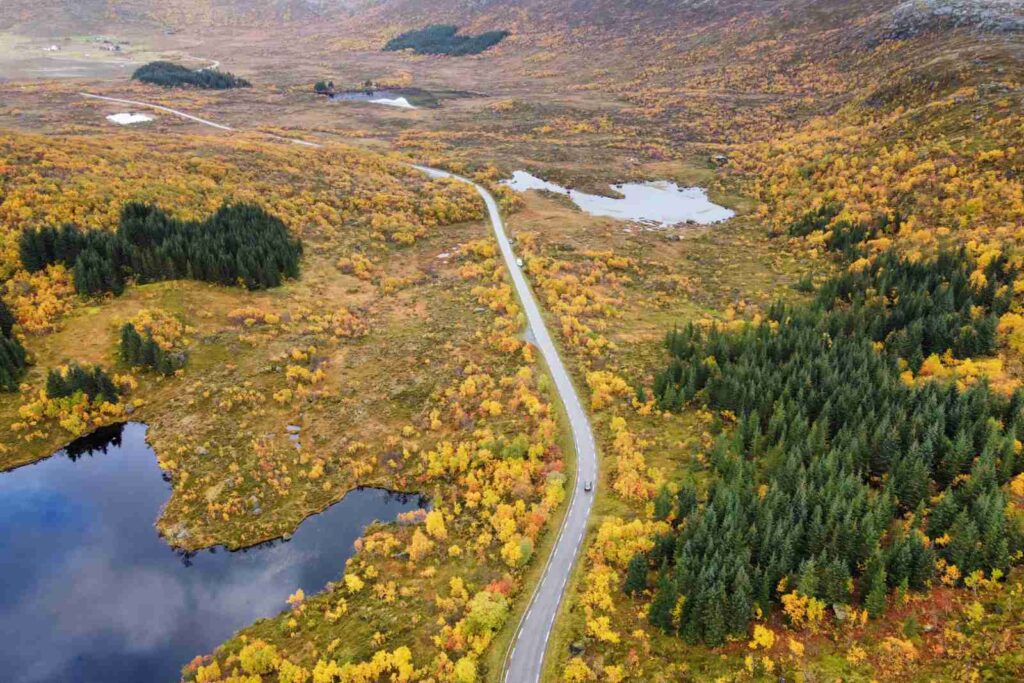 Imagen de la carretera para ilustrar el articulo transporte público en Lofoten