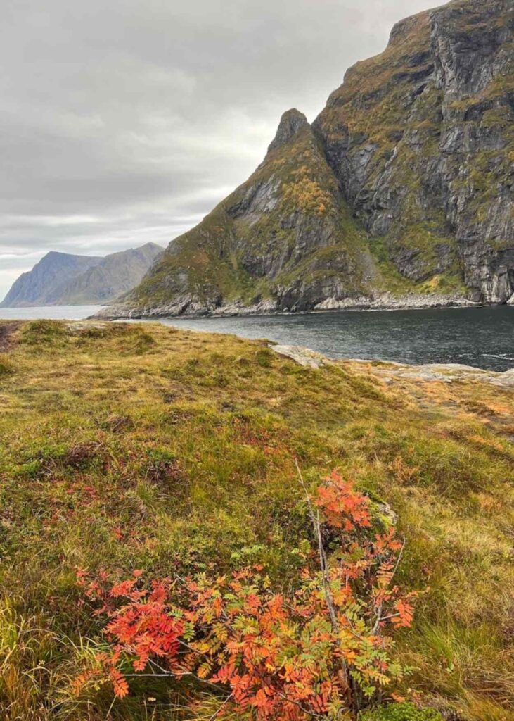 Mirador al sur de A, en las islas lofoten