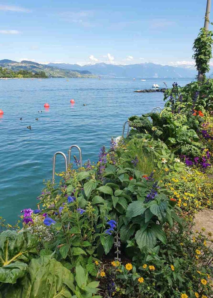 El lago Lemán que ver en Lausana