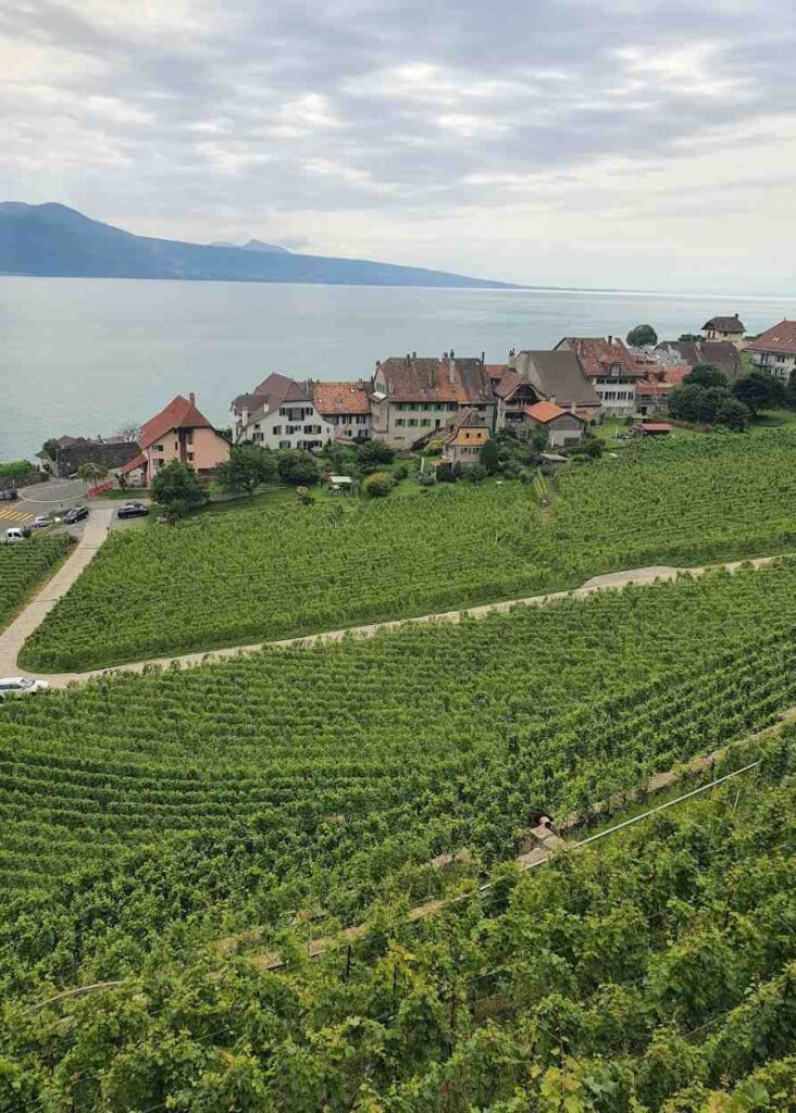 vista de los viñedos de lavaux y el lago