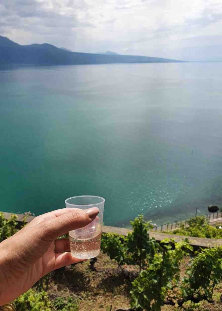 tomando un vino en los viñedos de lavaux, una actividad imperdible que hacer cerca de Montreux