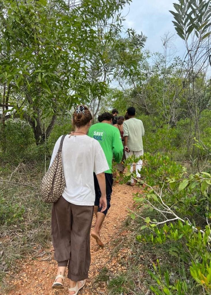 Gente caminando por el bosque durante un tour en Sadhana Forest