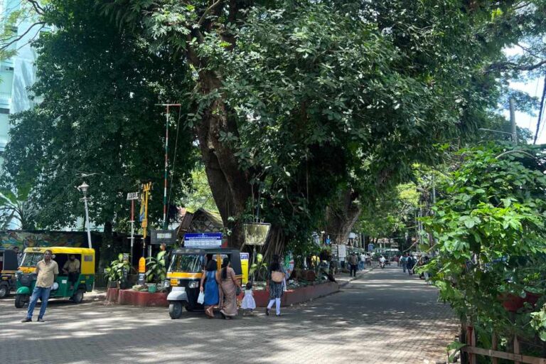 14 Lugares increíbles que ver en Kochi (Cochin), Kerala, India