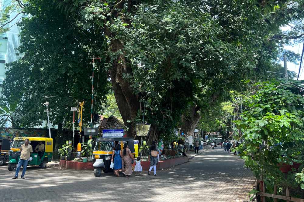 el centro de Fort Kochi, un imprescindible que ver en Kochi