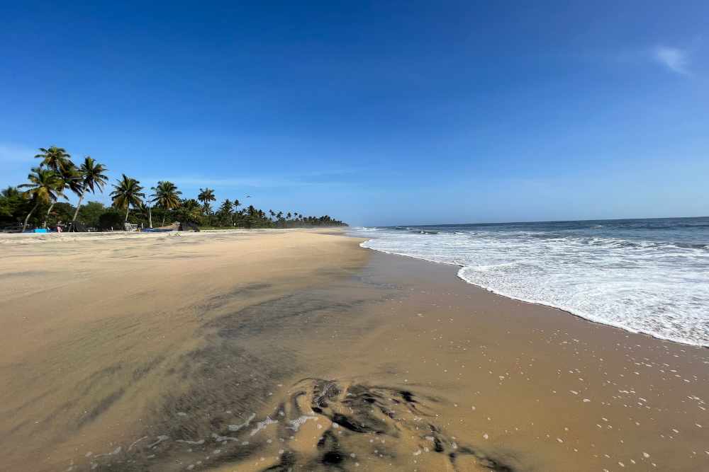 Playas cerca de Kochi