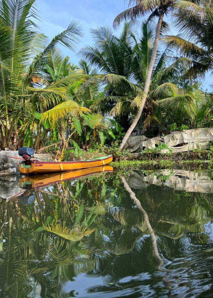 Backwaters de Alleppey o Alappuzha