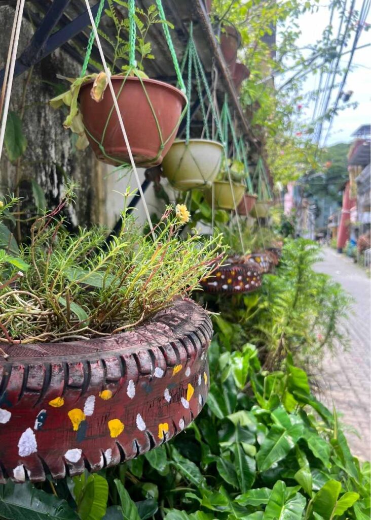 Plantas en una calle de Fort Kochi