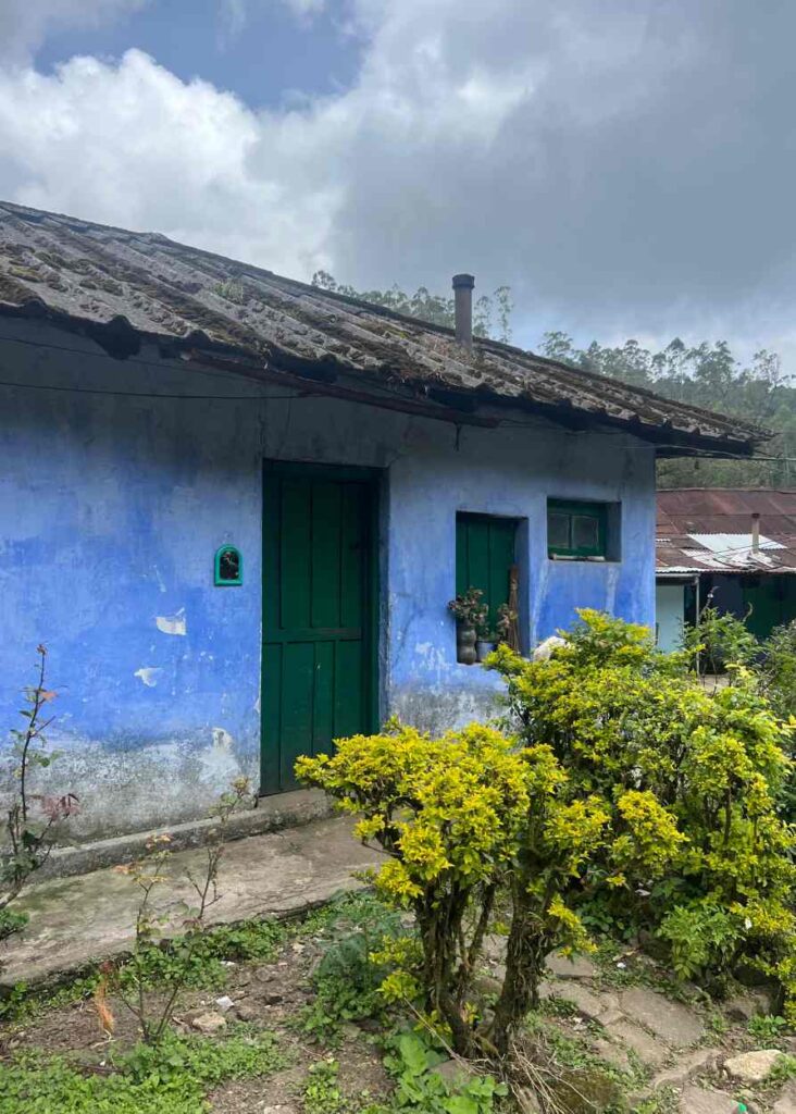 Una casita azul en Munnar, Kerala