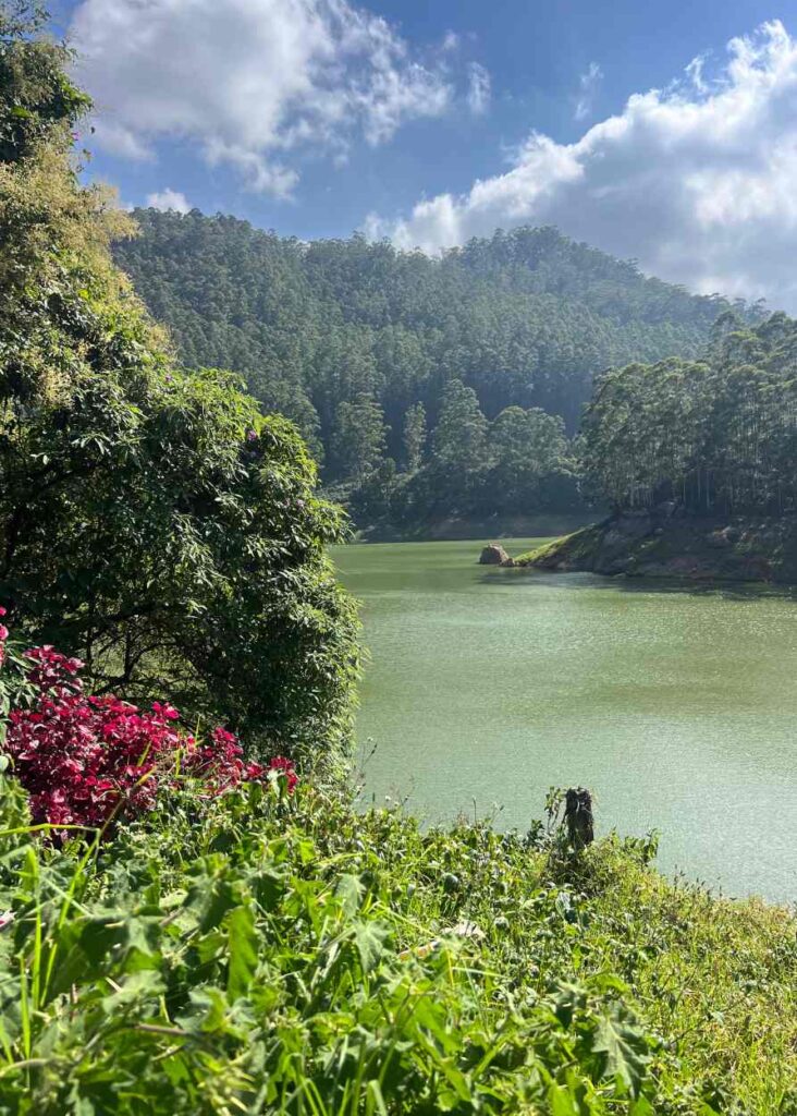 Mattupetty Dam, un lugar que ver en Munnar