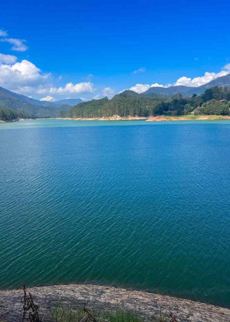 Mattupetty lake, un lugar que ver en Munnar