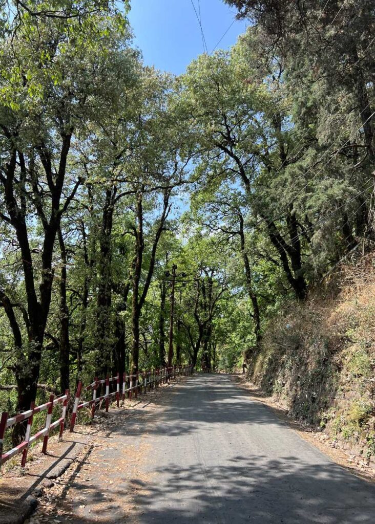 Una calle en la montaña en Nainital
