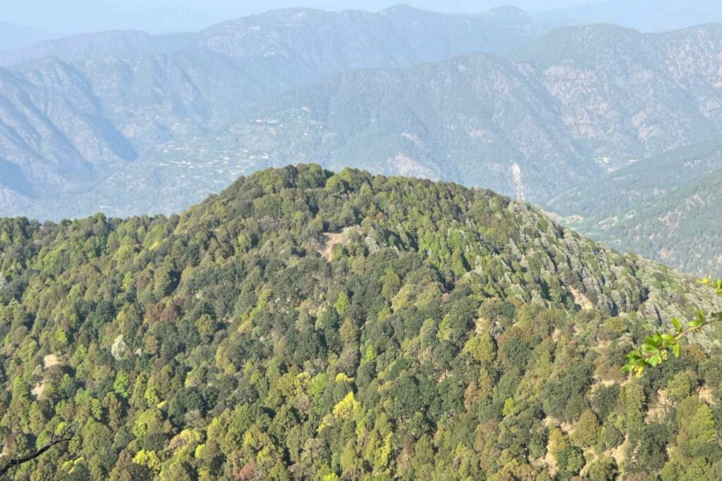 La naturaleza de Nainital