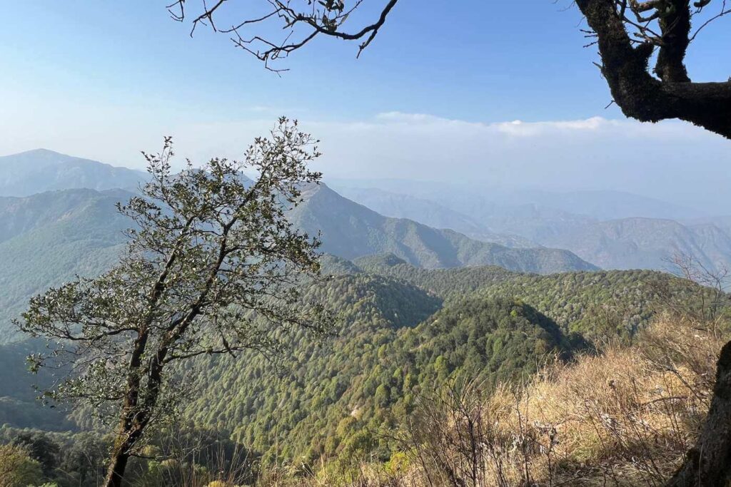 Montañas y verde, en Nainital