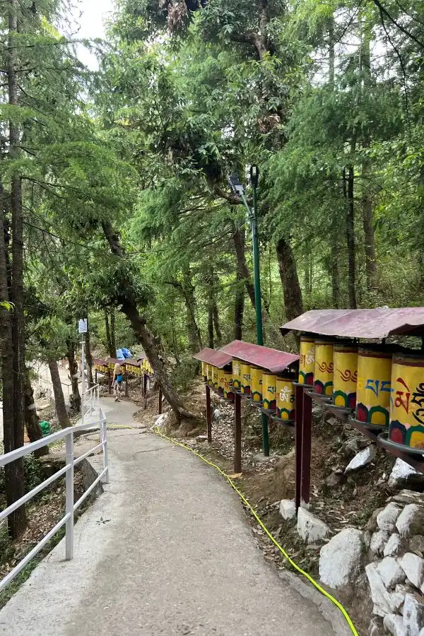 camino con ruedas de oración en dharamsala